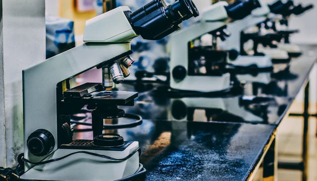 lab